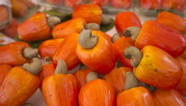 Production de jus de fruit